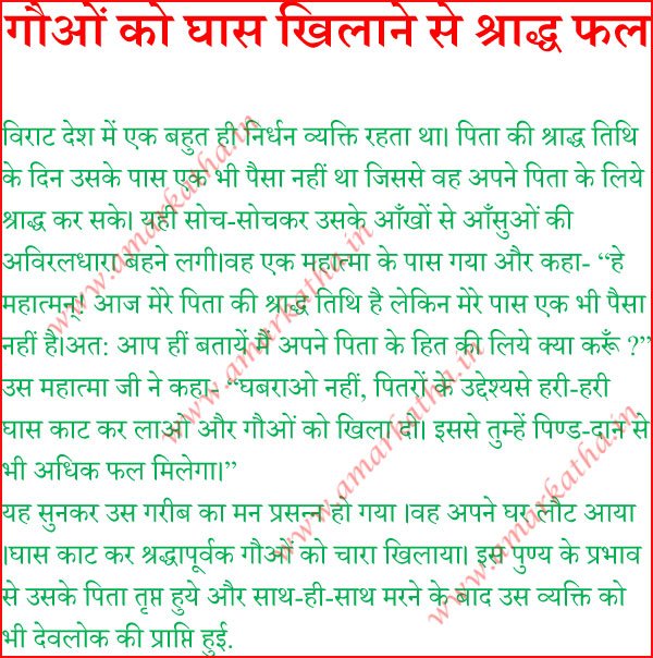 गौओं को घास खिलाने से श्राद्ध फल